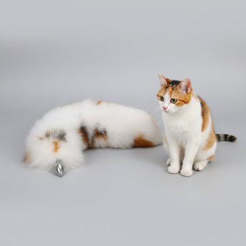Plug Anale Coda Gatto Con Orecchie Abbinate